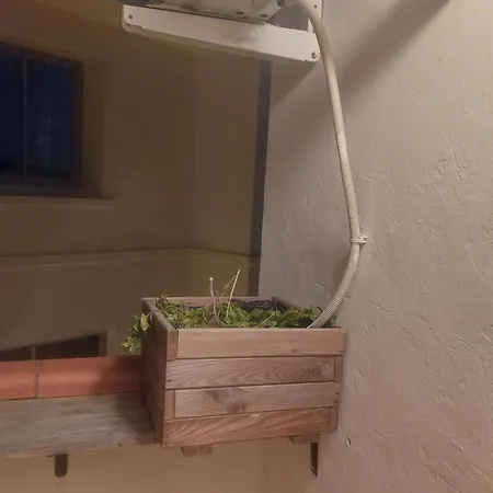 Au Coeur De Apartamento *